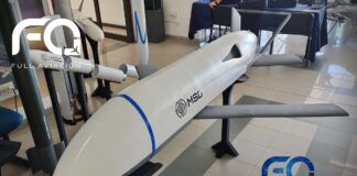 OWA CMEX01 «Avispón»