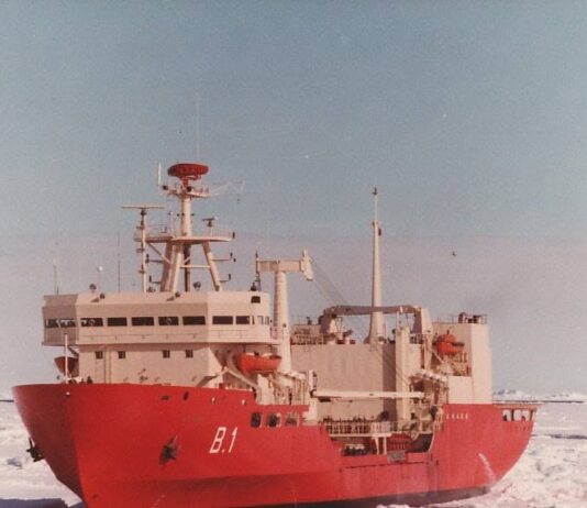 La Armada Argentina lanza licitación internacional para buque polar